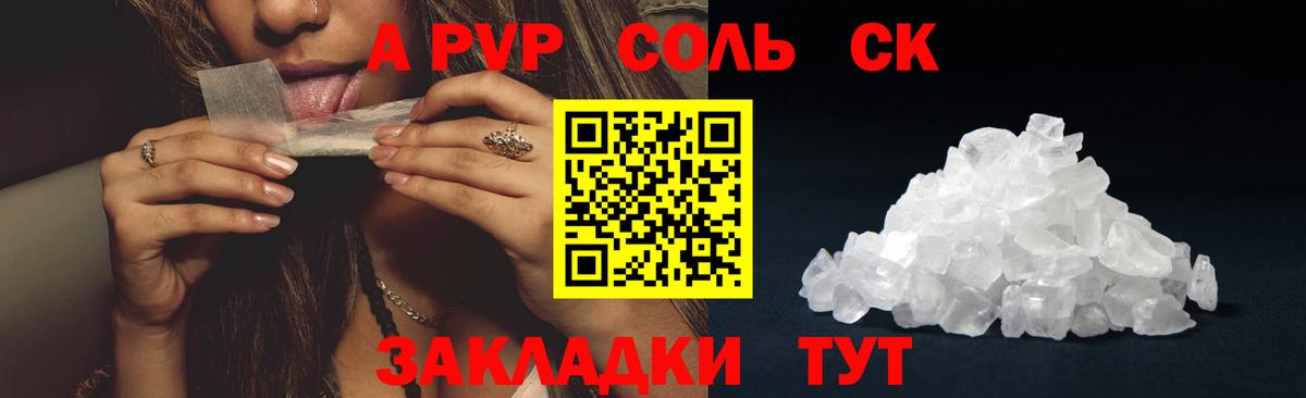 A PVP СК КРИС Гурьевск